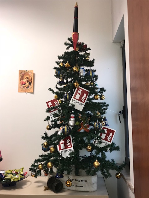 albero